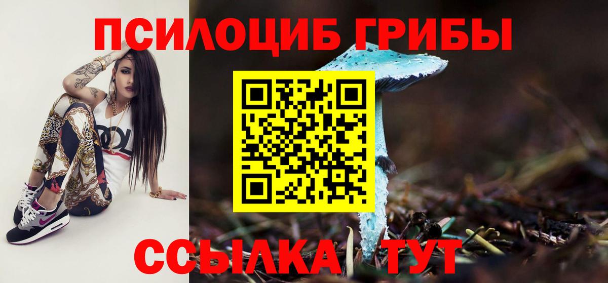 Галлюциногенные грибы Psilocybine cubensis  Вход с VPN  Балтийск 